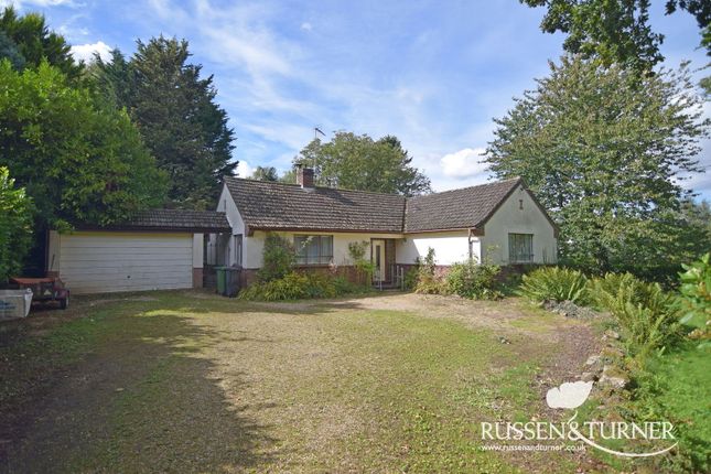 Fen Lane, King's Lynn PE32 3 bed detached bungalow for sale