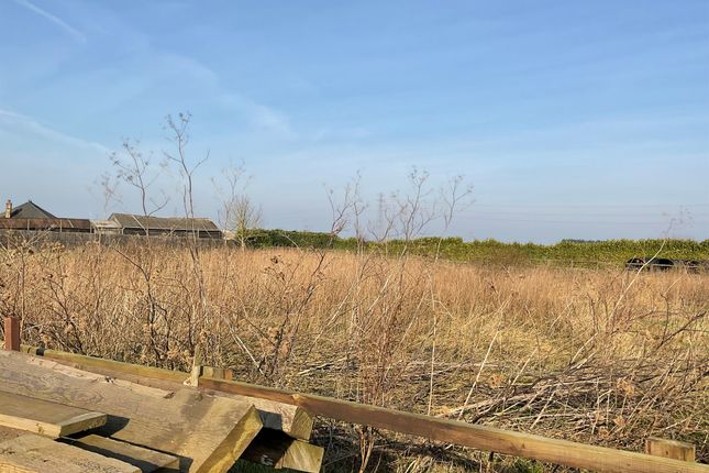 Land for sale