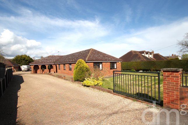 Barnhall Road, Tolleshunt Knights 5 bed detached bungalow for sale