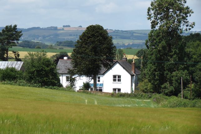 Wellington, Somerset, TA21 6 bed detached house for sale