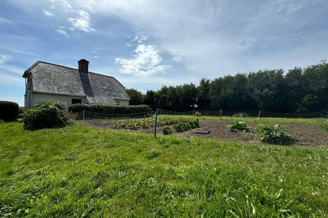 Hundleton, Pembroke, Pembrokeshire, SA71 3 bed detached house for sale
