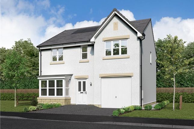 Plot 56, Maplewood at Strathmartine... 4 bed detached house for sale