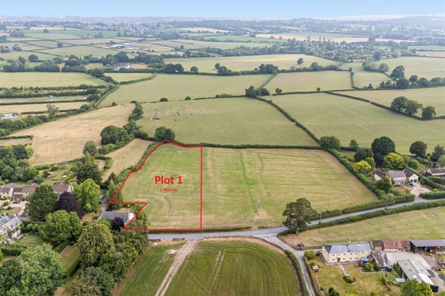 Plot for sale