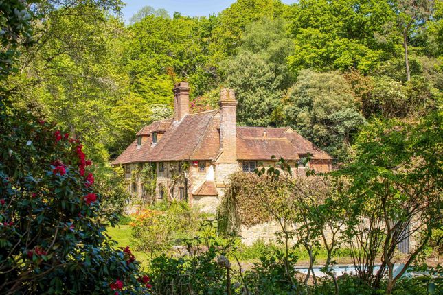 Chithurst Lane, Chithurst... 10 bed detached house for sale