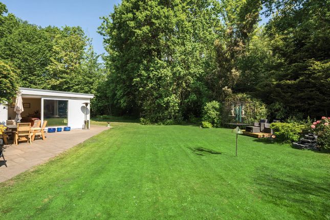 Elm Corner, Ockham, GU23 4 bed bungalow for sale