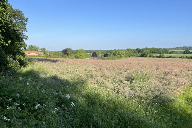 Land at West End Lane, Medstead... Land for sale