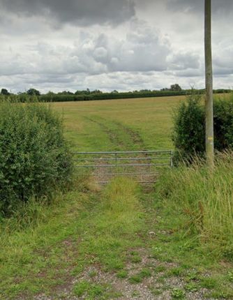 Land