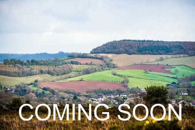 Coming Soon, Woodbury Salterton 4 bed house for sale