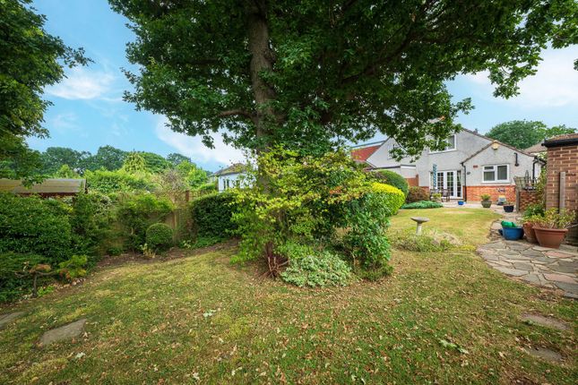 Sandy Ridge, Chislehurst BR7 3 bed semi