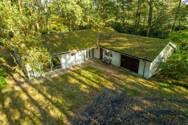 Honey Hill, Wokingham, RG40 4 bed detached bungalow for sale