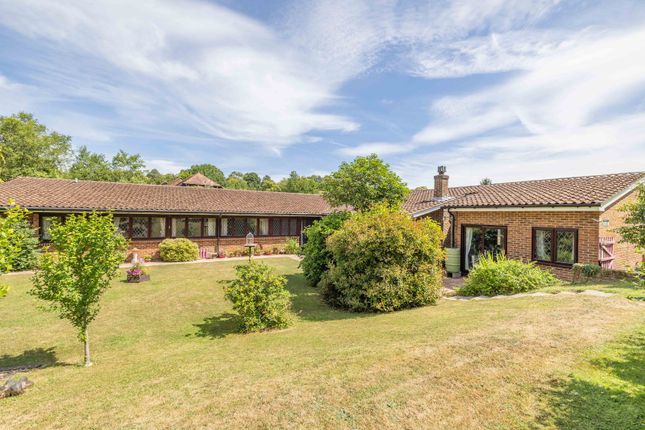 Plough Lane, Upper Harbledown... 4 bed bungalow for sale
