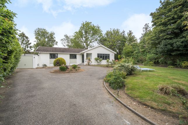 Send Barns Lane, Send, Woking, GU23 3 bed bungalow for sale