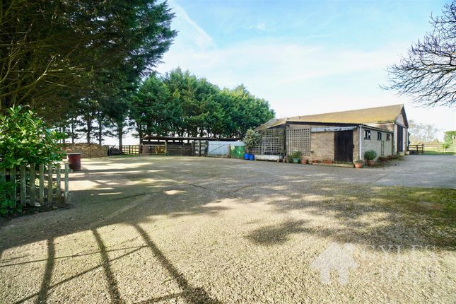 Freckenham, Bury St. Edmunds 3 bed detached house for sale