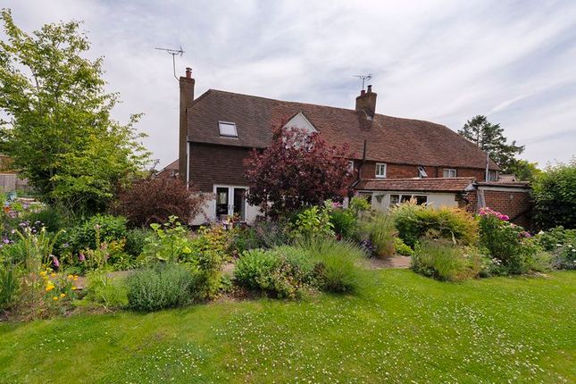 Back Lane, Horsmonden, TN12 4 bed semi