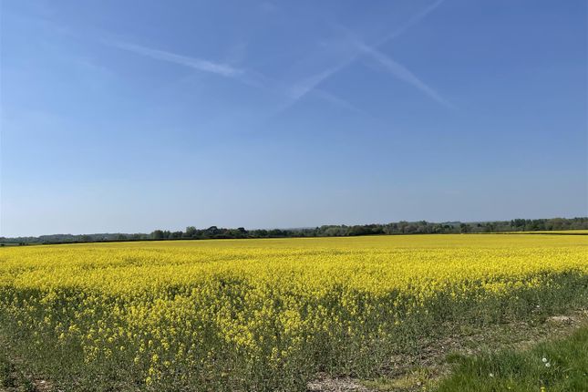 Land for sale