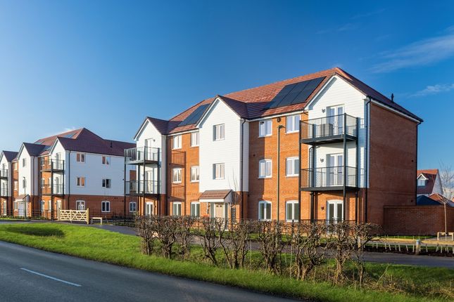 2 bed flat
