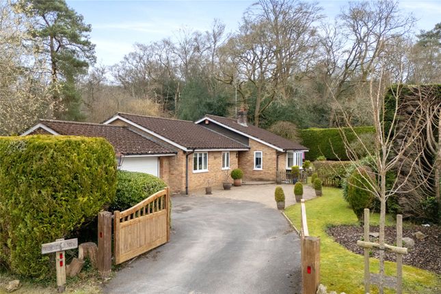 Pines Road, Liphook, Hampshire, GU30 3 bed bungalow for sale