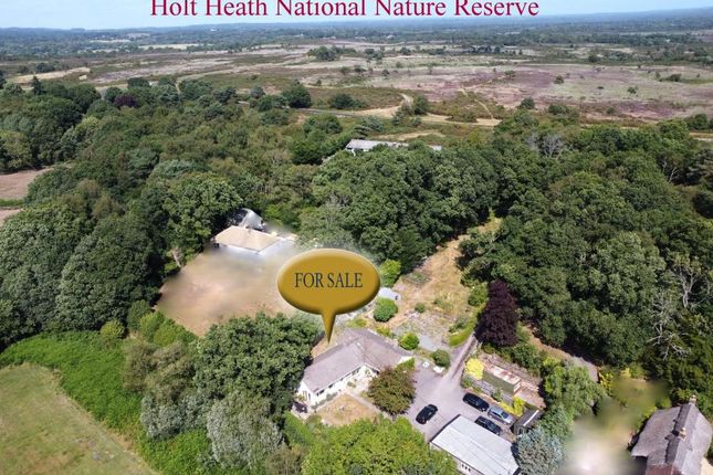 Woodhuish Coniferales, Holt... 3 bed detached bungalow for sale
