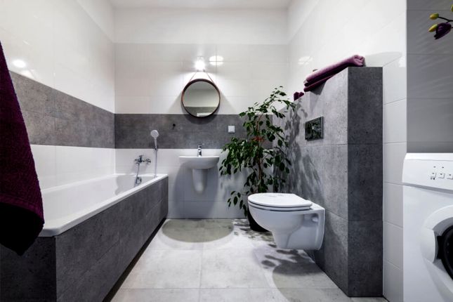 1 bed flat