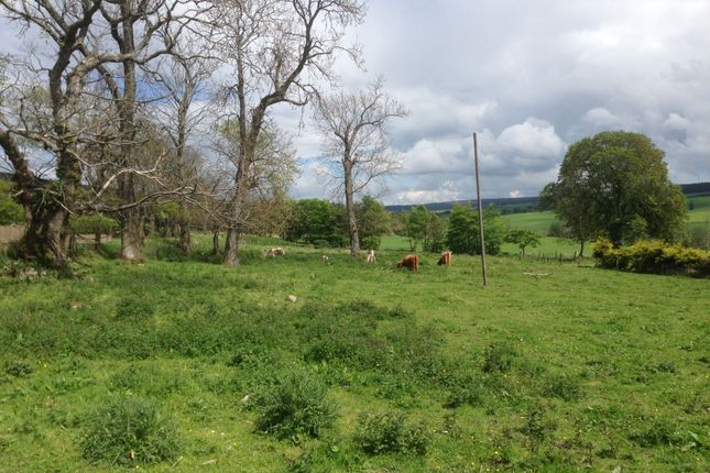 Land