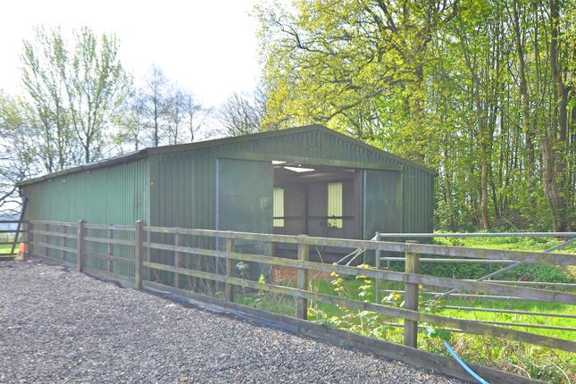 Swanton Road, Tonbridge ME18 2 bed equestrian property for sale