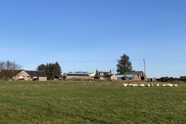 Ellon AB41 7 bed property with land for sale