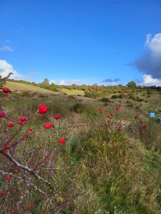 Great Lane, Clophill MK45 Land for sale