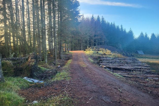 Rutting Season 5, Spean Bridge, Fort... Land for sale