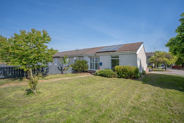 Overhills Walk, Aberdeen, AB21 1 bed terraced bungalow for sale