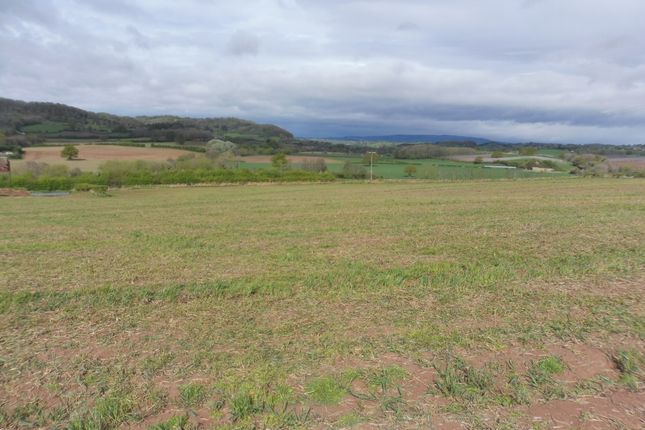 16.88ac Arable Land, Stanford Bridge... Land for sale
