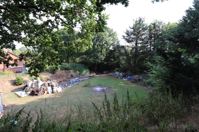 NEWTON FLOTMAN Land for sale