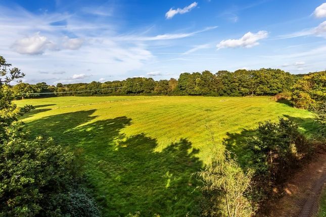 MISBROOKS GREEN ROAD, CAPEL, RH5 Plot for sale
