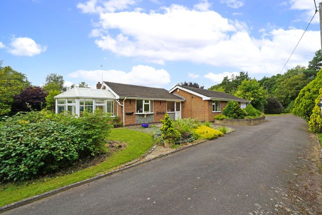 3 bed detached bungalow