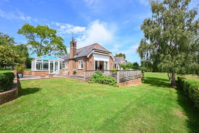 Parsonage Lane, Westfield 3 bed detached bungalow for sale