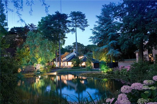 The Drive, Kingston Upon Thames 5 bed detached house for sale
