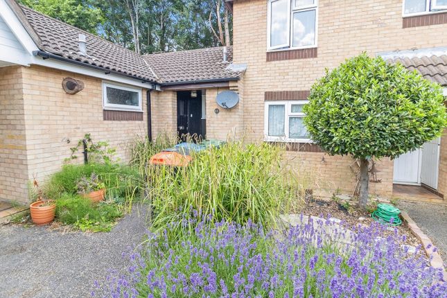1 bed bungalow