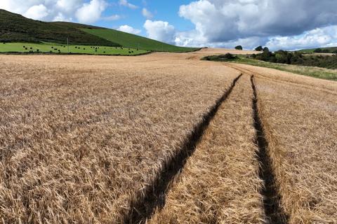 Land at Wiltonburn, Hawick TD9 Farm land for sale