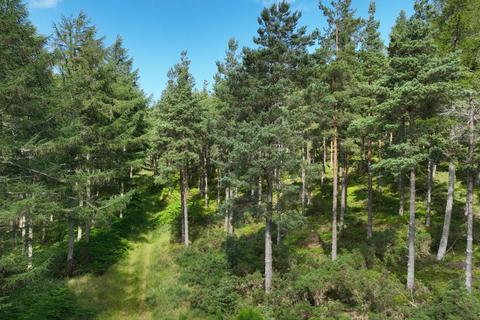 Craigmill Forest Estate, Dallas IV36 Woodland for sale