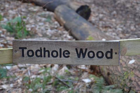 ROWBANK WOOD, BRAMPTON CA8 Woodland for sale