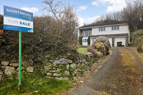 Dartmoor PL7 4 bed detached house for sale