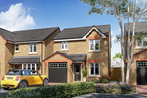 Plot 194