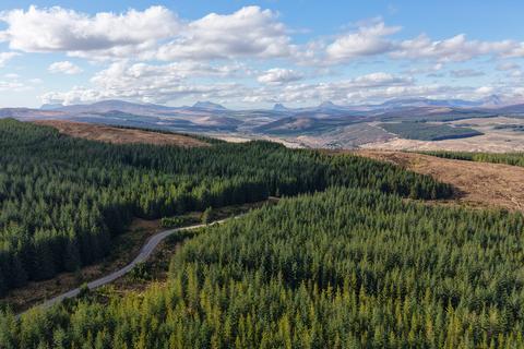 Coille Ruadh West, Near Rosehall... Woodland for sale