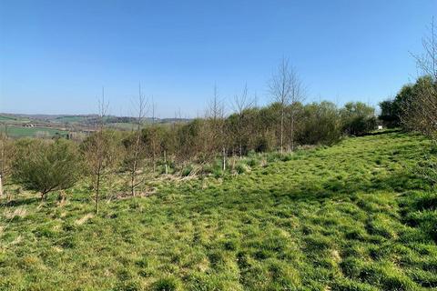 Littlehempston Land for sale