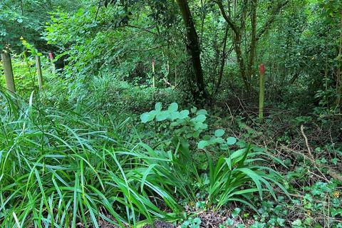 Land Lying North West of Baring Road... Property for sale