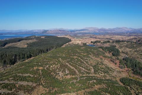 Polvinister Wood, Near Oban... Woodland for sale