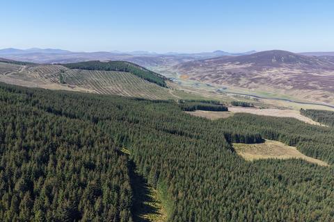 Torrish Forest, Near Helmsdale... Woodland for sale