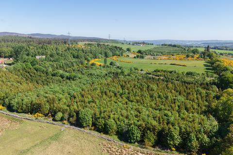 Fanellan Wood, Near Beauly... Woodland for sale