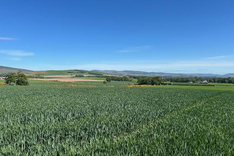 Land at Balrennie Farm, Brechin DD9 Farm land for sale