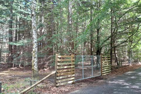 Woodland for sale