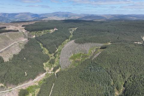 Coed Y Cwm Forest, Llanbrynmair SY19 Woodland for sale